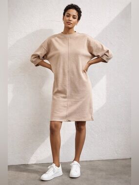 Everlane Organic Cotton Track Dress Tan Mini Dress Oversized Sweatshirt Neutral